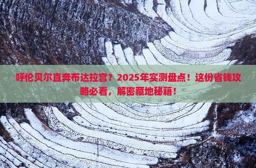 呼伦贝尔到西藏布达拉宫哪里玩