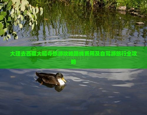 大理去西藏大昭寺旅游