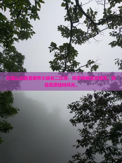 石嘴山去西藏雅鲁藏布大峡谷二日游