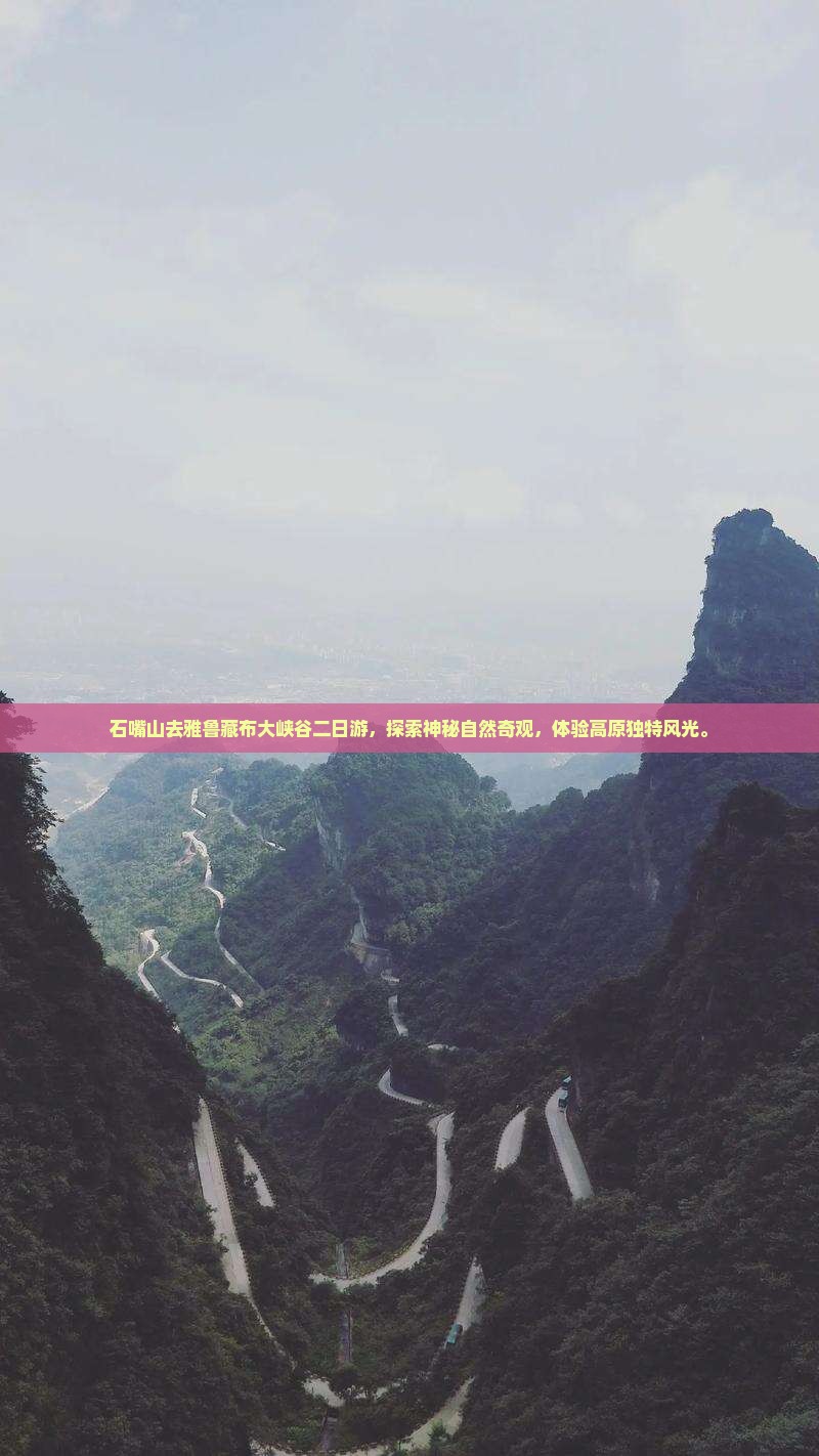 石嘴山去西藏雅鲁藏布大峡谷二日游