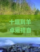 十堰到西藏羊卓雍措自由行
