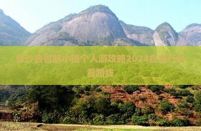 长沙去西藏鲁朗小镇个人游