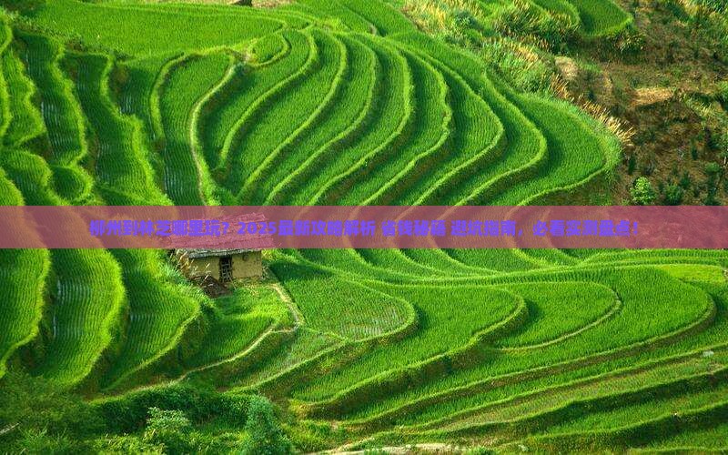 柳州到西藏林芝哪里玩
