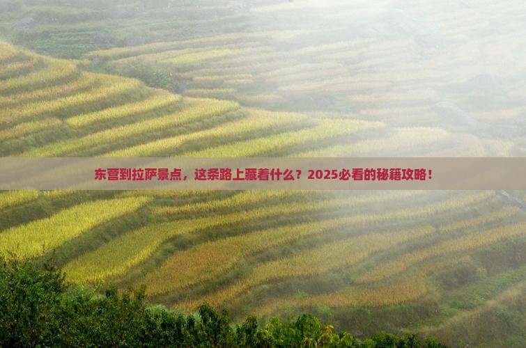 东营到西藏拉萨景点