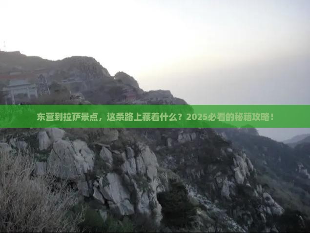 东营到西藏拉萨景点
