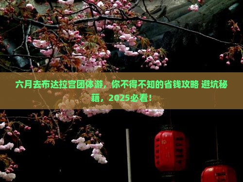 六月去西藏布达拉宫团体旅游