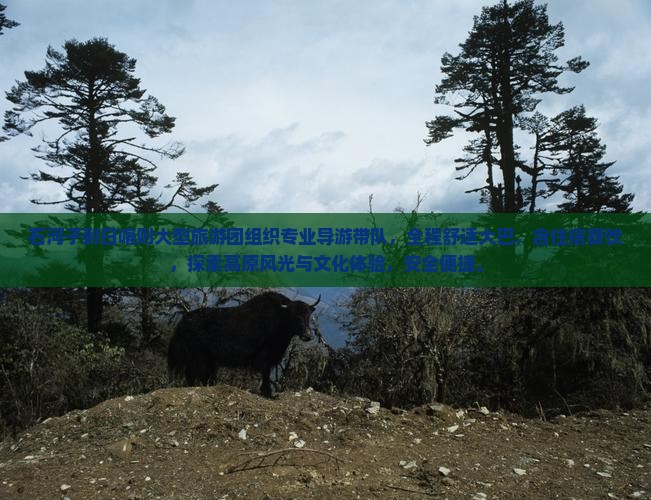 石河子到西藏日喀则大型旅游团