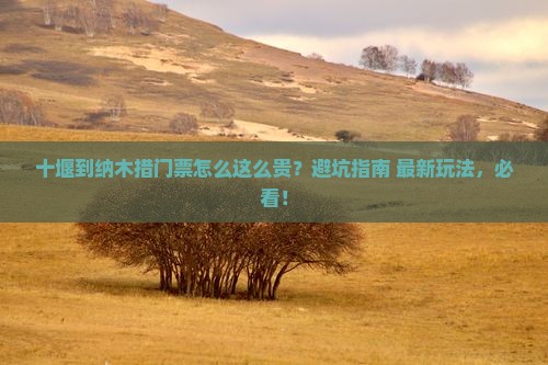 十堰到西藏纳木措门票