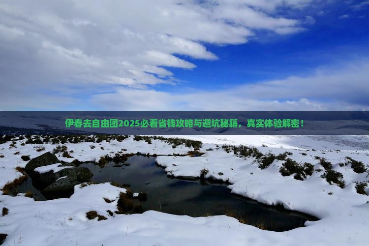 伊春去西藏自由团 伊春去西藏自由团