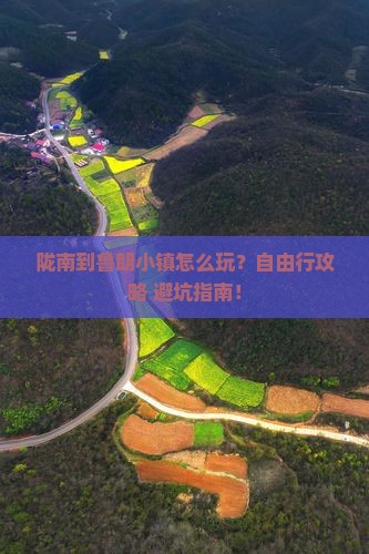 陇南到西藏鲁朗小镇个人游