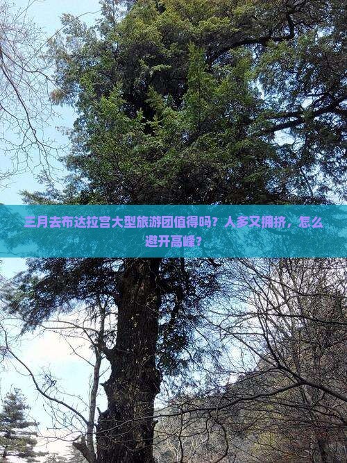 三月到西藏布达拉宫大型旅游团