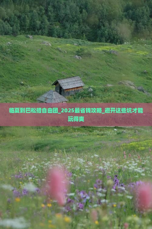 临夏到西藏巴松措自由团