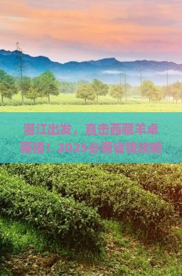 湛江到西藏羊卓雍措大型旅游团