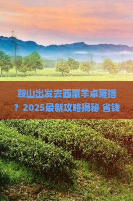 鞍山去西藏羊卓雍措景点