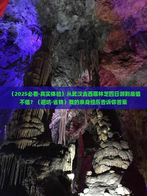武汉去西藏林芝四日游
