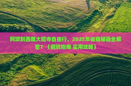阿坝去西藏大昭寺自由行