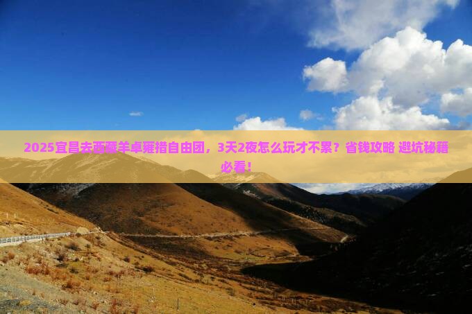 宜昌去西藏羊卓雍措自由团