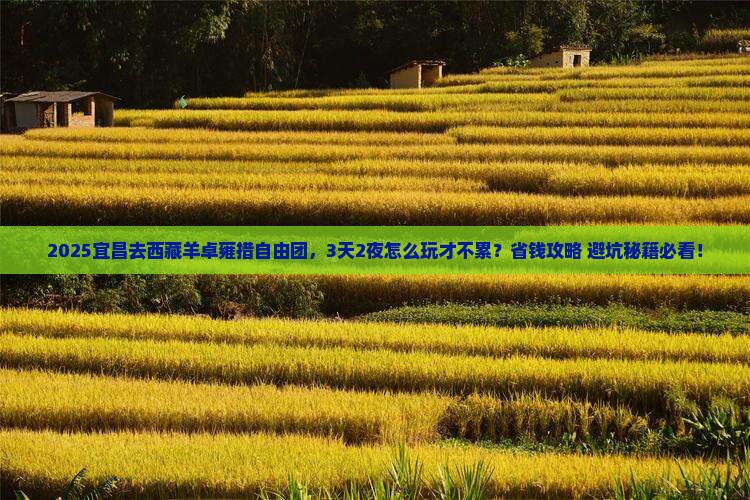 宜昌去西藏羊卓雍措自由团