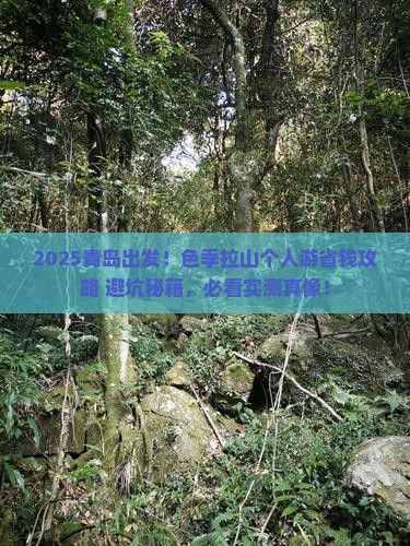 青岛去西藏色季拉山个人游