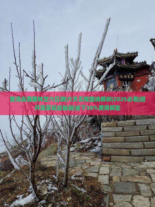 普洱去西藏林芝六日游