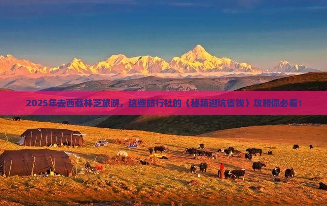 一月到西藏林芝旅行社