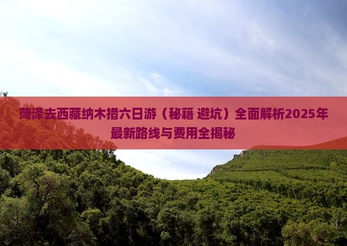 菏泽去西藏纳木措六日游