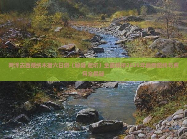 菏泽去西藏纳木措六日游