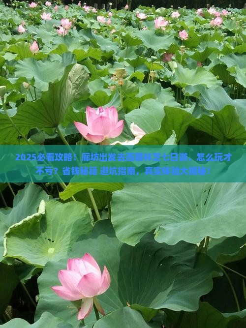 廊坊去西藏林芝七日游