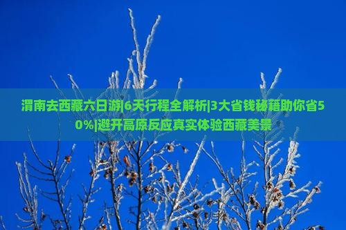 渭南去西藏六日游