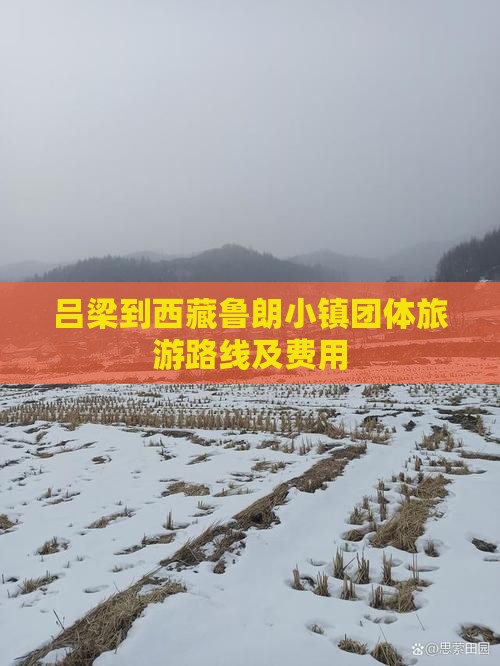 吕梁到西藏鲁朗小镇团体旅游