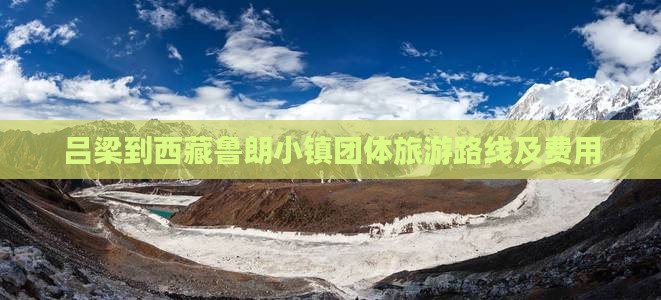吕梁到西藏鲁朗小镇团体旅游