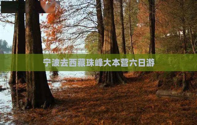 宁波去西藏珠峰大本营六日游