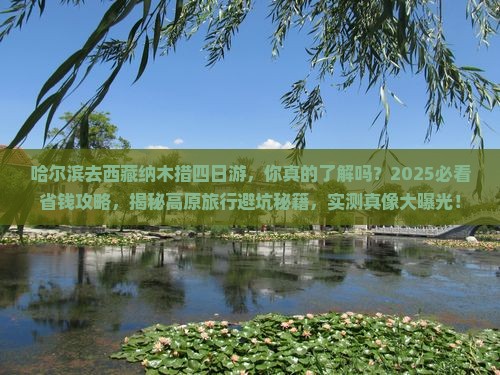 哈尔滨去西藏纳木措四日游