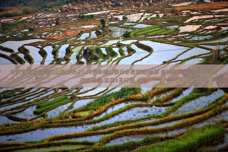 忻州去西藏色季拉山旅行社