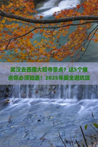 武汉去西藏大昭寺景点