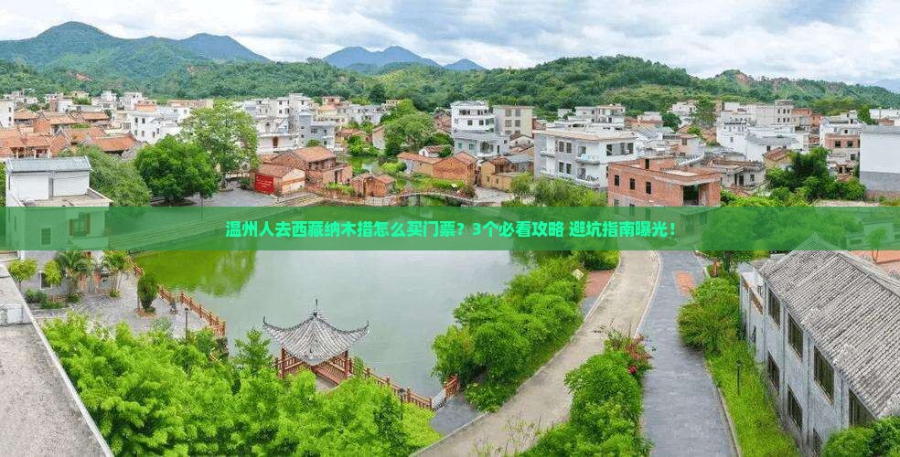温州去西藏纳木措门票