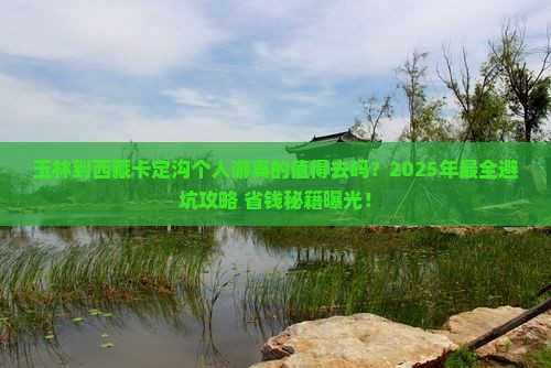 玉林到西藏卡定沟个人游