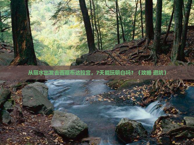 丽水到西藏布达拉宫七日游