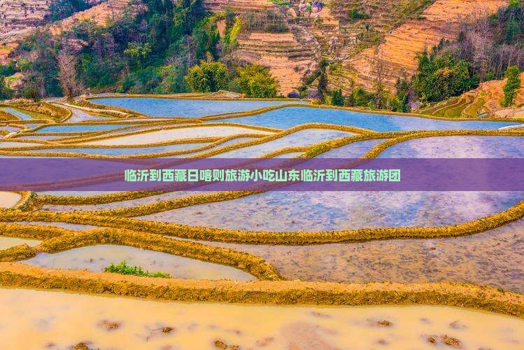 临沂到西藏日喀则旅游小吃