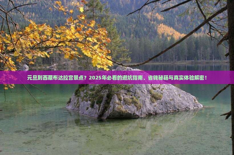 元旦到西藏布达拉宫景点