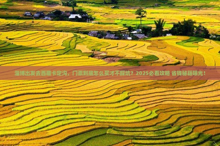 淄博去西藏卡定沟门票