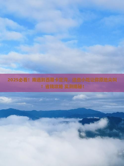 南通到西藏卡定沟旅游小吃