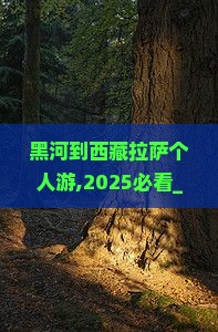 黑河到西藏拉萨个人游