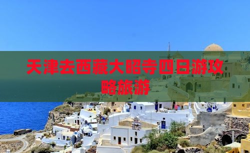 天津去西藏大昭寺四日游