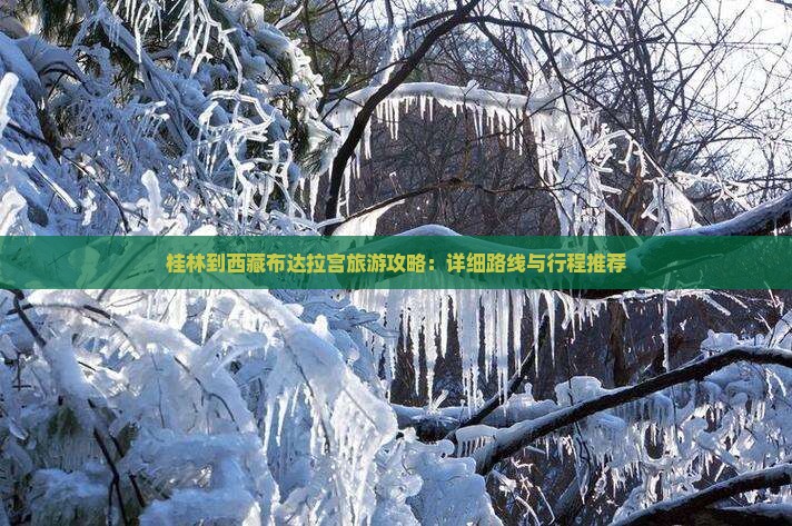 桂林去西藏布达拉宫攻略
