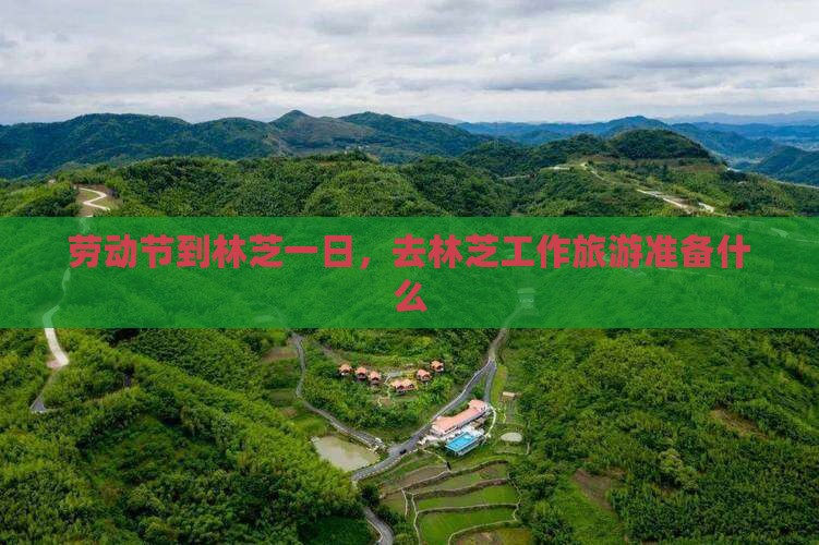 劳动节到西藏林芝一日