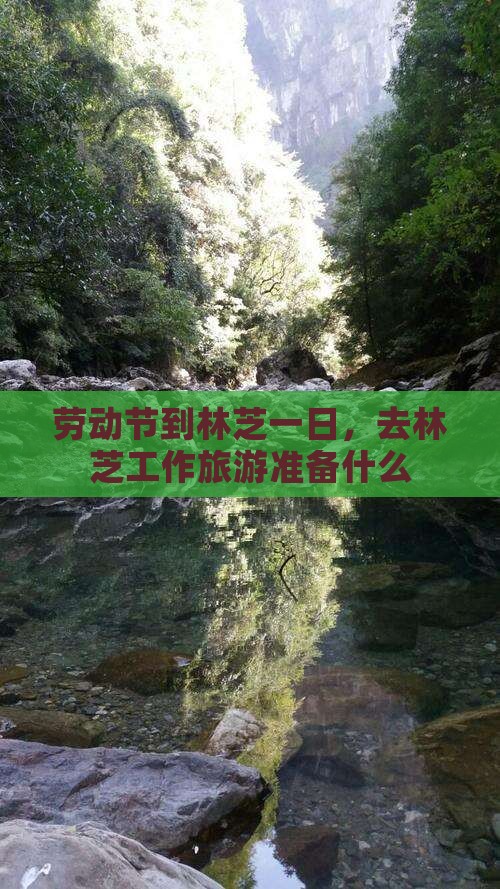 劳动节到西藏林芝一日
