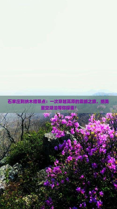石家庄到西藏纳木措景点