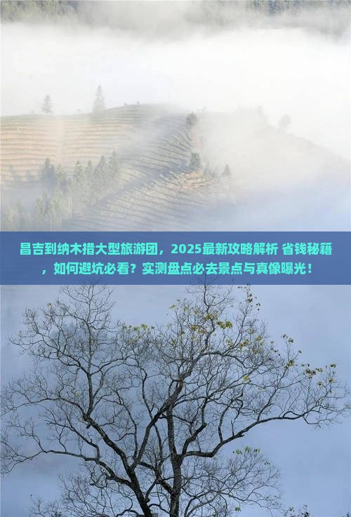 昌吉到西藏纳木措大型旅游团