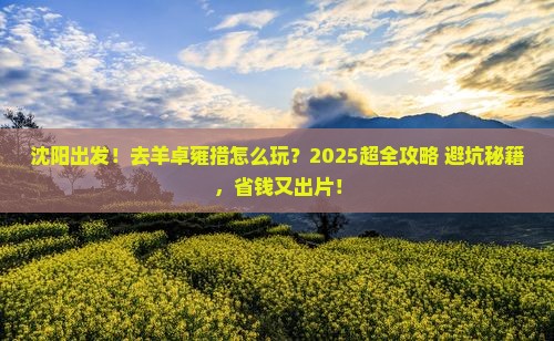沈阳到西藏羊卓雍措旅行社